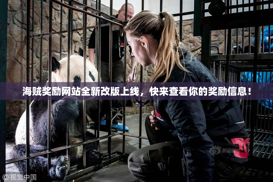 海贼奖励网站全新改版上线，快来查看你的奖励信息！