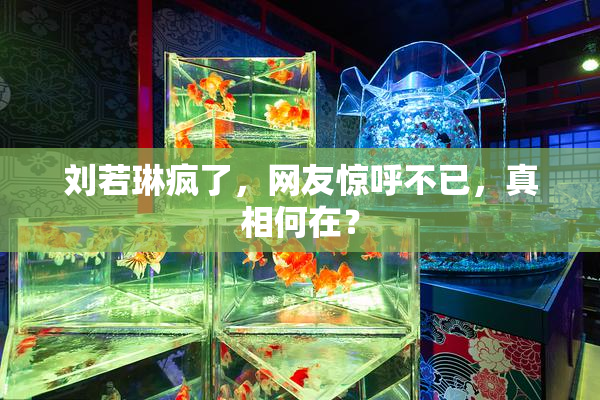 刘若琳疯了，网友惊呼不已，真相何在？