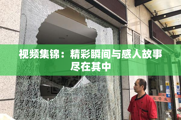 视频集锦：精彩瞬间与感人故事尽在其中