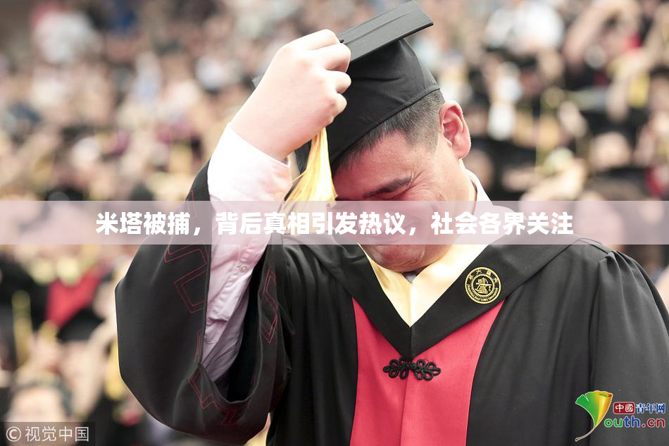 米塔被捕，背后真相引发热议，社会各界关注