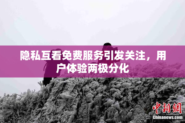 隐私互看免费服务引发关注，用户体验两极分化