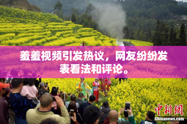 羞羞视频引发热议，网友纷纷发表看法和评论。