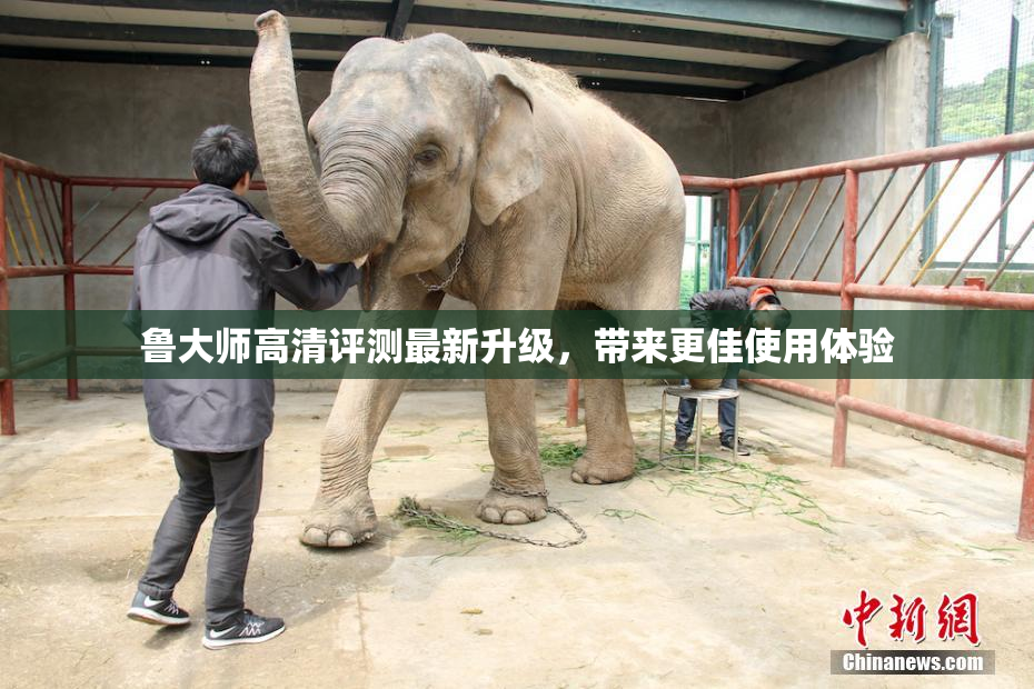 鲁大师高清评测最新升级，带来更佳使用体验
