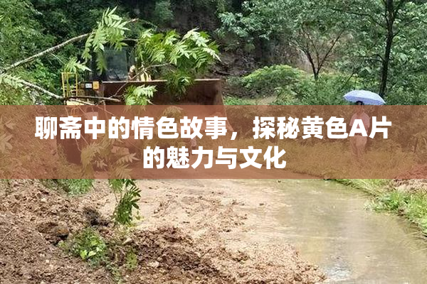 聊斋中的情色故事，探秘黄色A片的魅力与文化