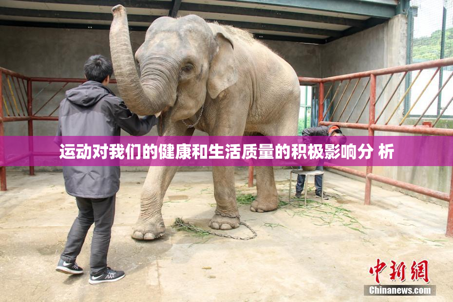 运动对我们的健康和生活质量的积极影响分 析