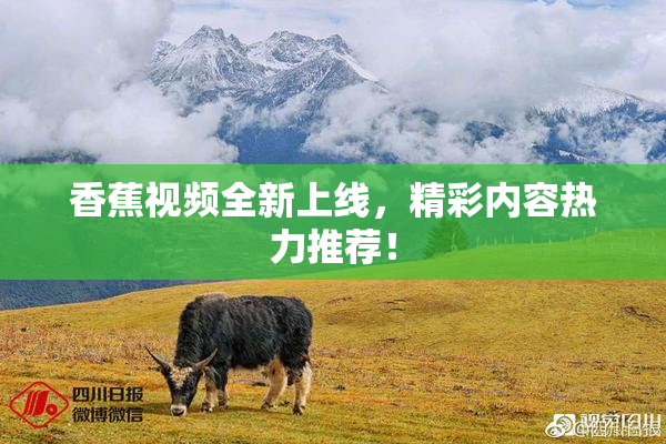 香蕉视频全新上线，精彩内容热力推荐！