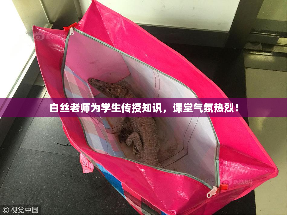 白丝老师为学生传授知识，课堂气氛热烈！