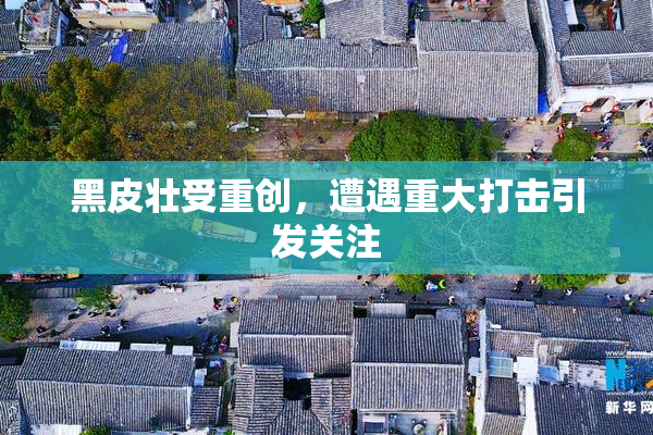 黑皮壮受重创，遭遇重大打击引发关注