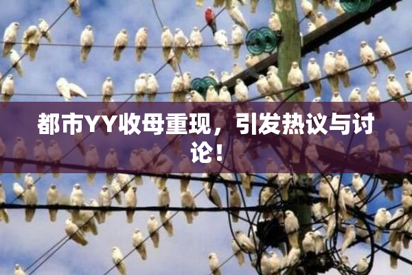都市YY收母重现，引发热议与讨论！
