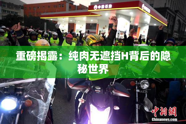 重磅揭露：纯肉无遮挡H背后的隐秘世界