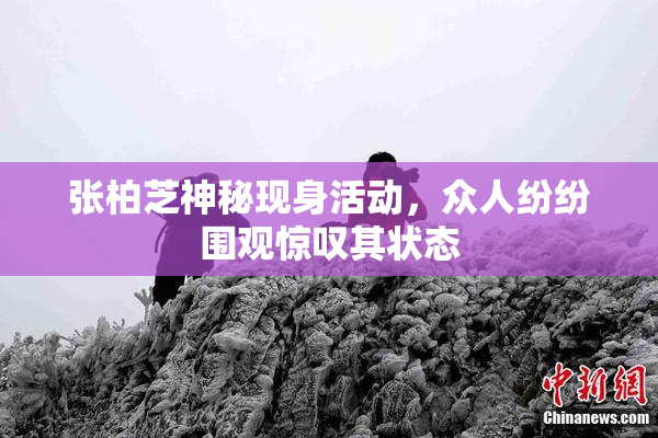 张柏芝神秘现身活动，众人纷纷围观惊叹其状态