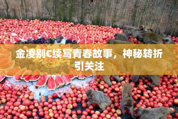金凌别C续写青春故事，神秘转折引关注