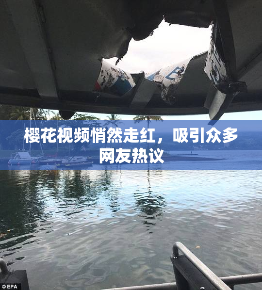 樱花视频悄然走红，吸引众多网友热议