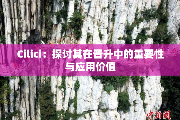 Cilici：探讨其在晋升中的重要性与应用价值