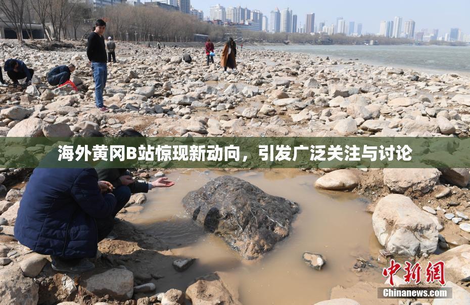 海外黄冈B站惊现新动向，引发广泛关注与讨论