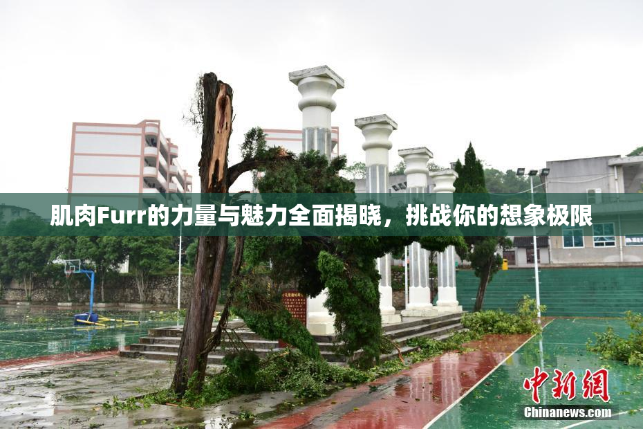 肌肉Furr的力量与魅力全面揭晓，挑战你的想象极限