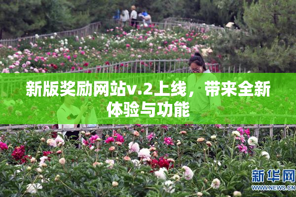 新版奖励网站v.2上线，带来全新体验与功能