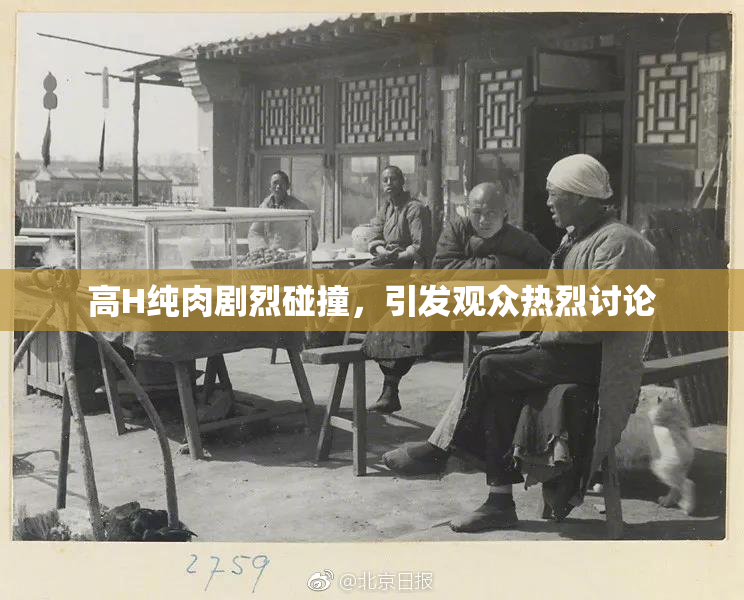 高H纯肉剧烈碰撞，引发观众热烈讨论