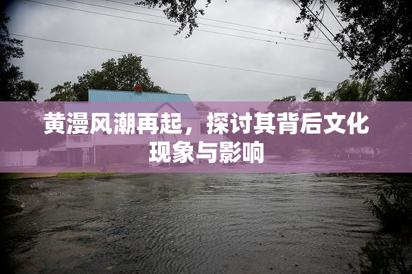 黄漫风潮再起，探讨其背后文化现象与影响