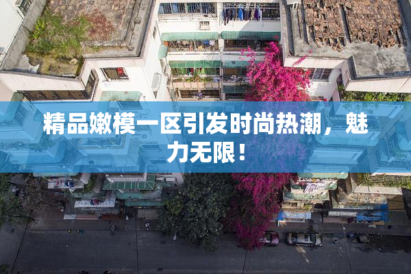精品嫩模一区引发时尚热潮，魅力无限！