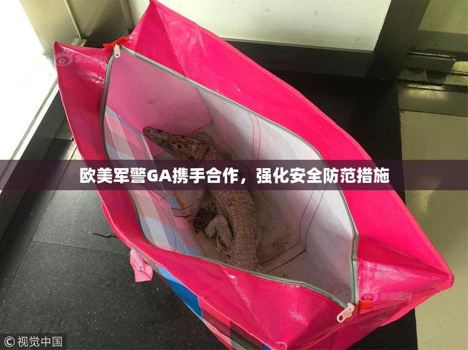 欧美军警GA携手合作，强化安全防范措施