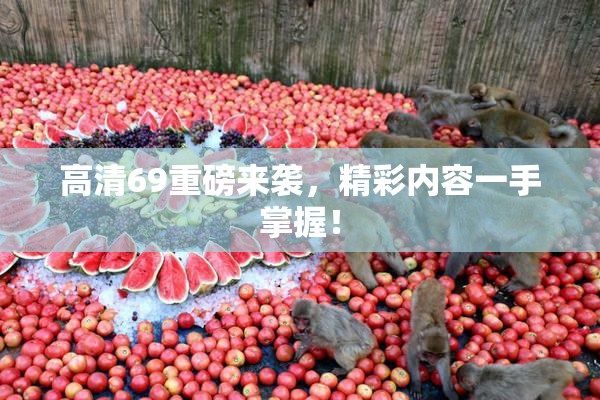 高清69重磅来袭，精彩内容一手掌握！