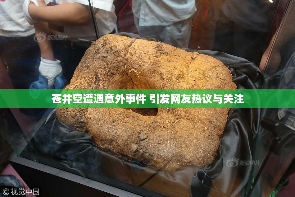 苍井空遭遇意外事件 引发网友热议与关注