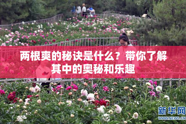 两根爽的秘诀是什么？带你了解其中的奥秘和乐趣
