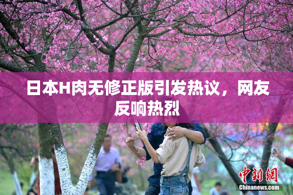 日本H肉无修正版引发热议，网友反响热烈