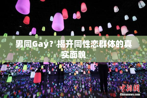 男同Gay？揭开同性恋群体的真实面貌