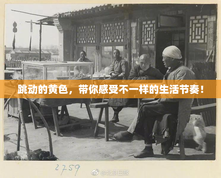 跳动的黄色，带你感受不一样的生活节奏！