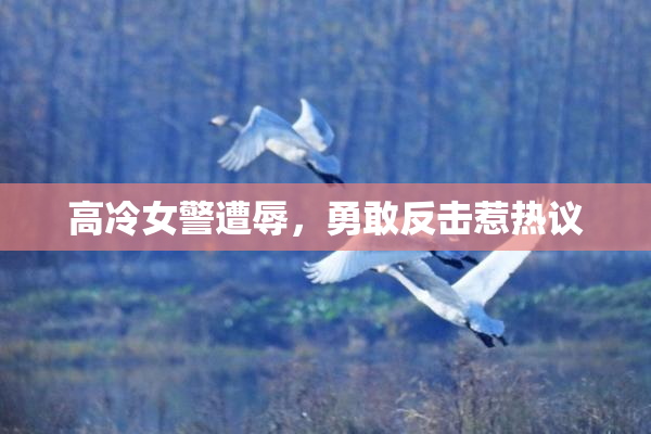 高冷女警遭辱，勇敢反击惹热议