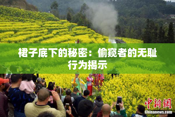 裙子底下的秘密：偷窥者的无耻行为揭示