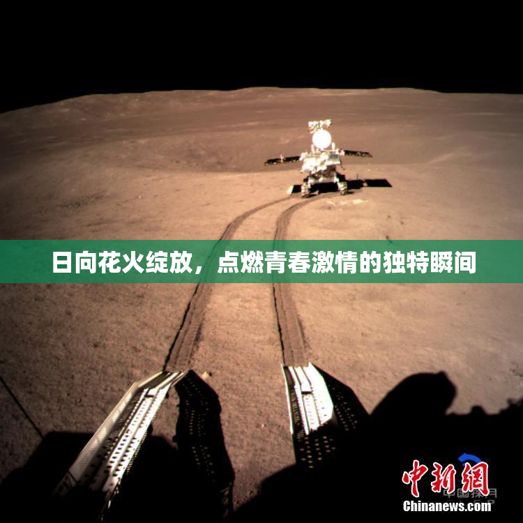 日向花火绽放，点燃青春激情的独特瞬间