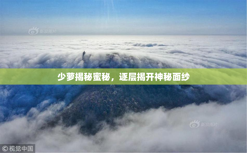 少萝揭秘蜜秘，逐层揭开神秘面纱