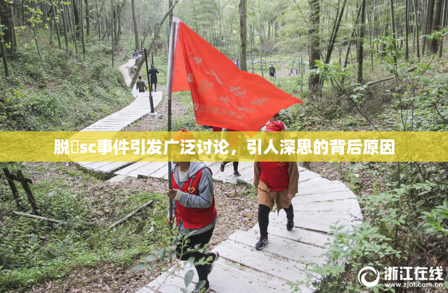 脱糞sc事件引发广泛讨论，引人深思的背后原因