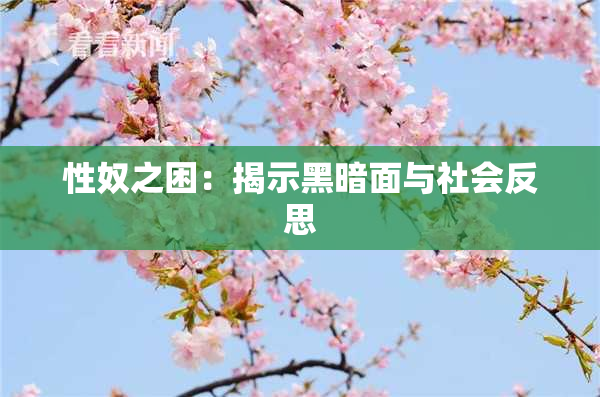 性奴之困：揭示黑暗面与社会反思
