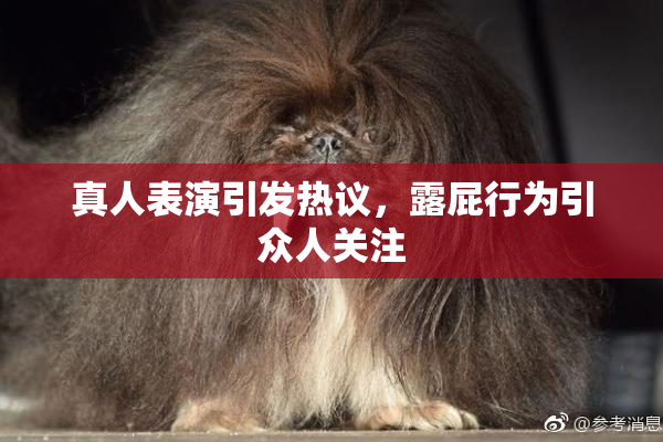真人表演引发热议，露屁行为引众人关注