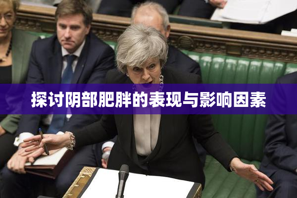 探讨阴部肥胖的表现与影响因素