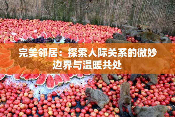 完美邻居：探索人际关系的微妙边界与温暖共处