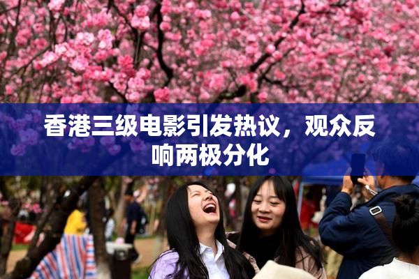 香港三级电影引发热议，观众反响两极分化