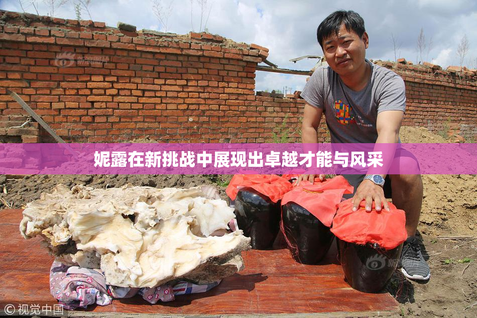 妮露在新挑战中展现出卓越才能与风采