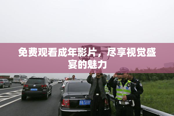 免费观看成年影片，尽享视觉盛宴的魅力