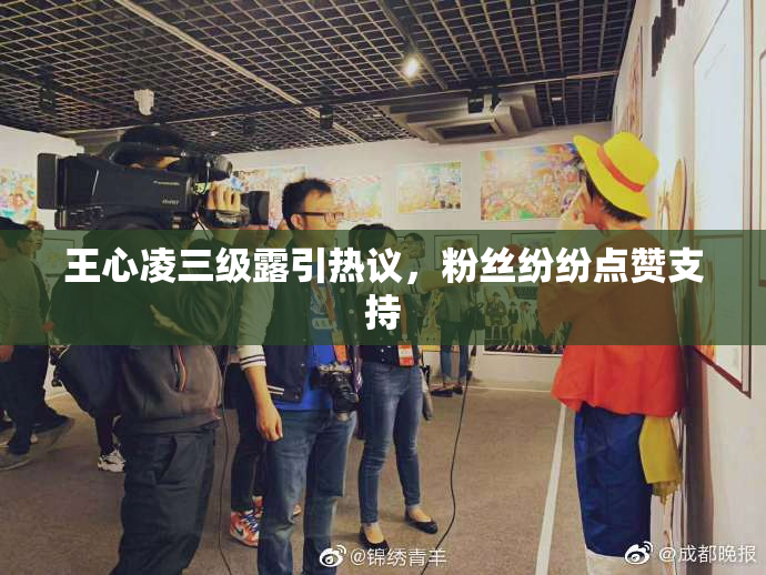 王心凌三级露引热议，粉丝纷纷点赞支持