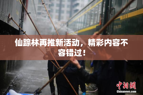 仙踪林再推新活动，精彩内容不容错过！