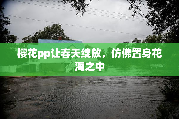 樱花pp让春天绽放，仿佛置身花海之中