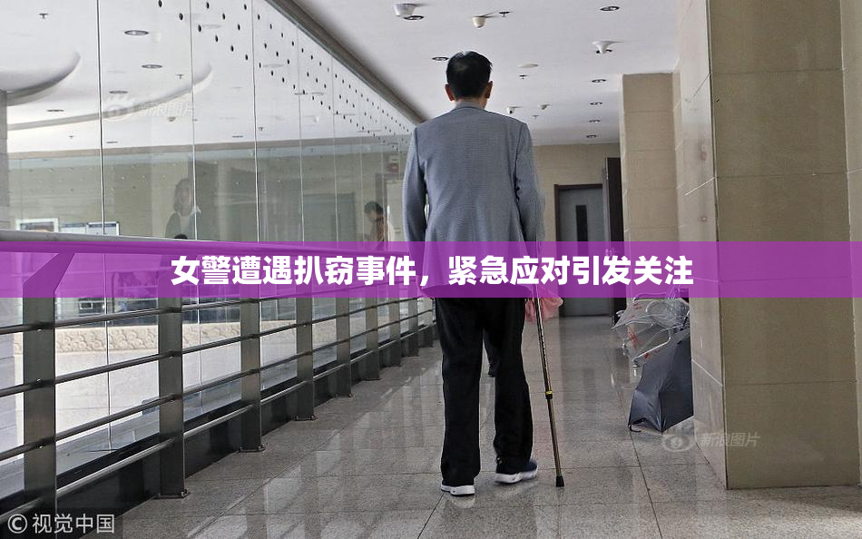 女警遭遇扒窃事件，紧急应对引发关注