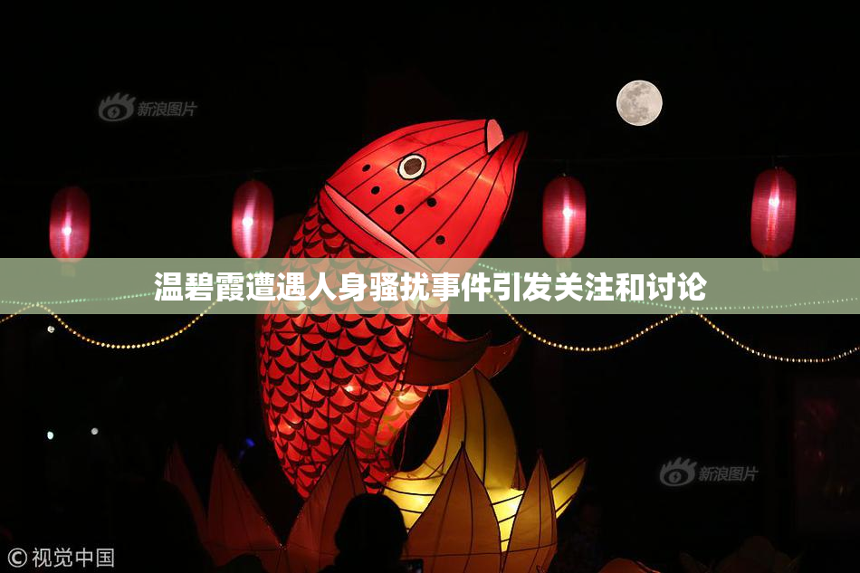 温碧霞遭遇人身骚扰事件引发关注和讨论