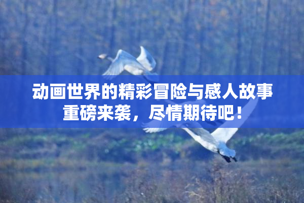 动画世界的精彩冒险与感人故事重磅来袭，尽情期待吧！