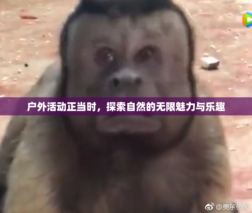 户外活动正当时，探索自然的无限魅力与乐趣